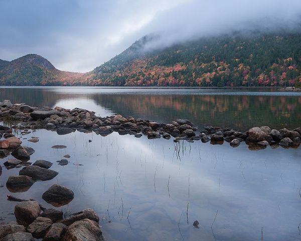 Jaynes Gallery 아티스트의 USA-Maine-Acadia National Park Mountain and forest reflections in lake작품입니다.